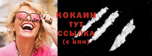 прущие грибы Абаза