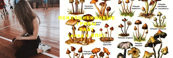 ECSTASY Алзамай