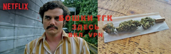 не бодяженный Алексин