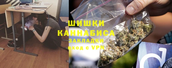 прущие грибы Абаза