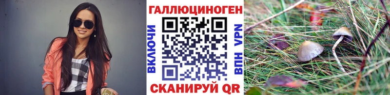закладки  blacksprut маркетплейс  Псилоцибиновые грибы мицелий  Хадыженск 